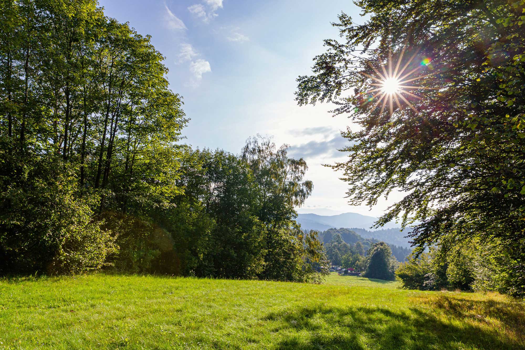 Das Zentrum der Bayerischen Landesgartenschau 2023 bildet der Geyersberg, ein rund 800 Meter hoch gelegener Ortsteil von Freyung.